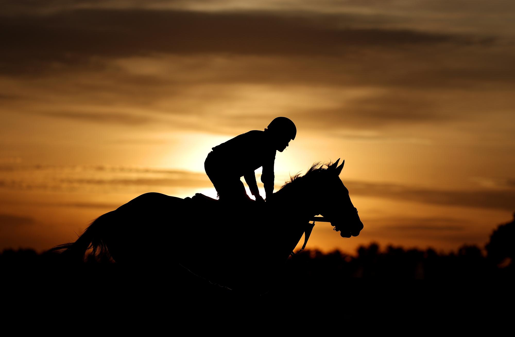 The Fair Hill Five: horse racing’s bizarre transatlantic betting coup – explained
