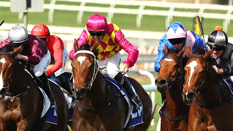 Emerging Osland mare can secure city start with another win