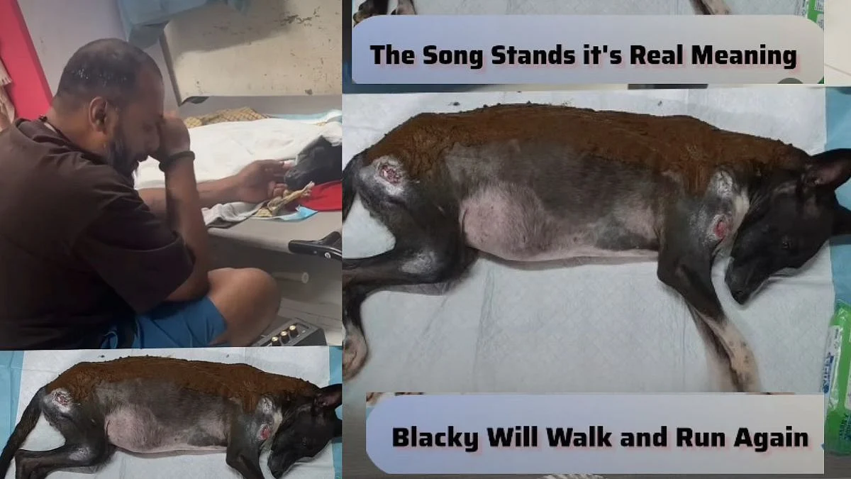 'Blacky Will Walk And Run Again': Mumbai's Activist Xavier Santiago Sings Heartfelt Song For His Dog; Take A Look!