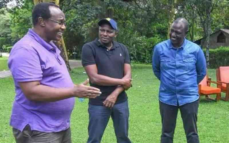Court orders audit of Ruto's 'bloated' team of advisers