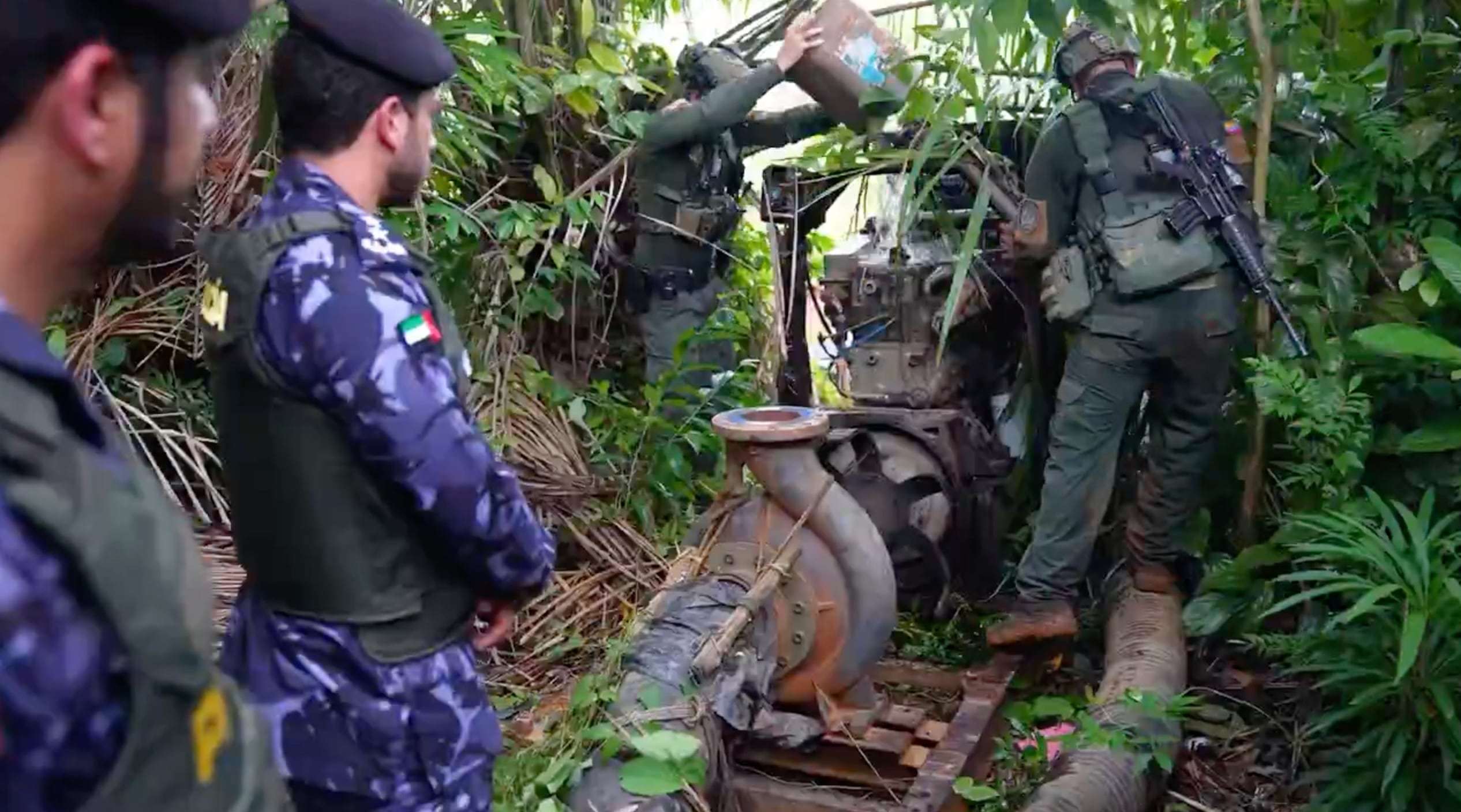 More than 800 arrested in UAE-led operation to tackle environmental crime in Amazon basin