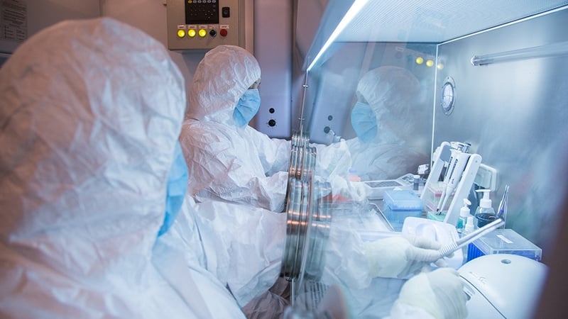 WHO says 'low' risk in Russia following plague reports