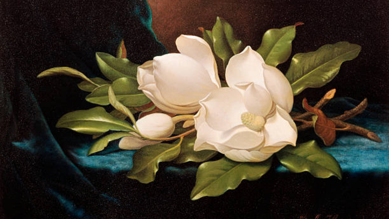 Wisconsin shopper paid $29 for painting; it later sold for $882,500