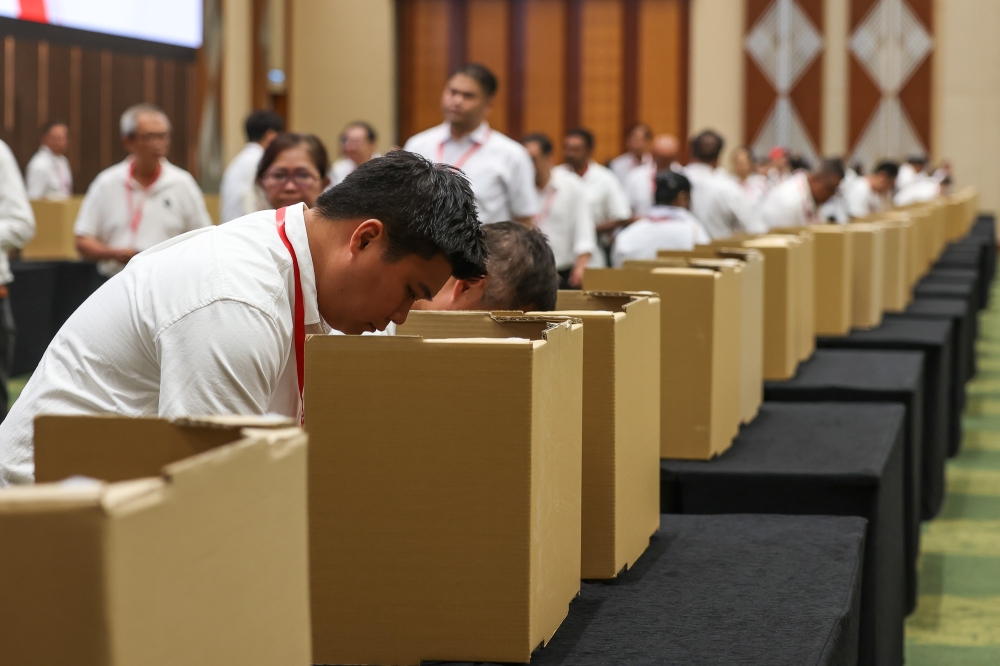Status quo for now, DAP delegates vote to stay in govt