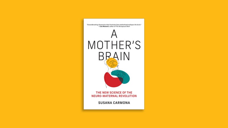 ‘A Mother’s Brain’ explores the neuroscience of motherhood