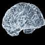 Brain stimulation timing may shape memory outcomes in Parkinson's patients with GBA1 mutations