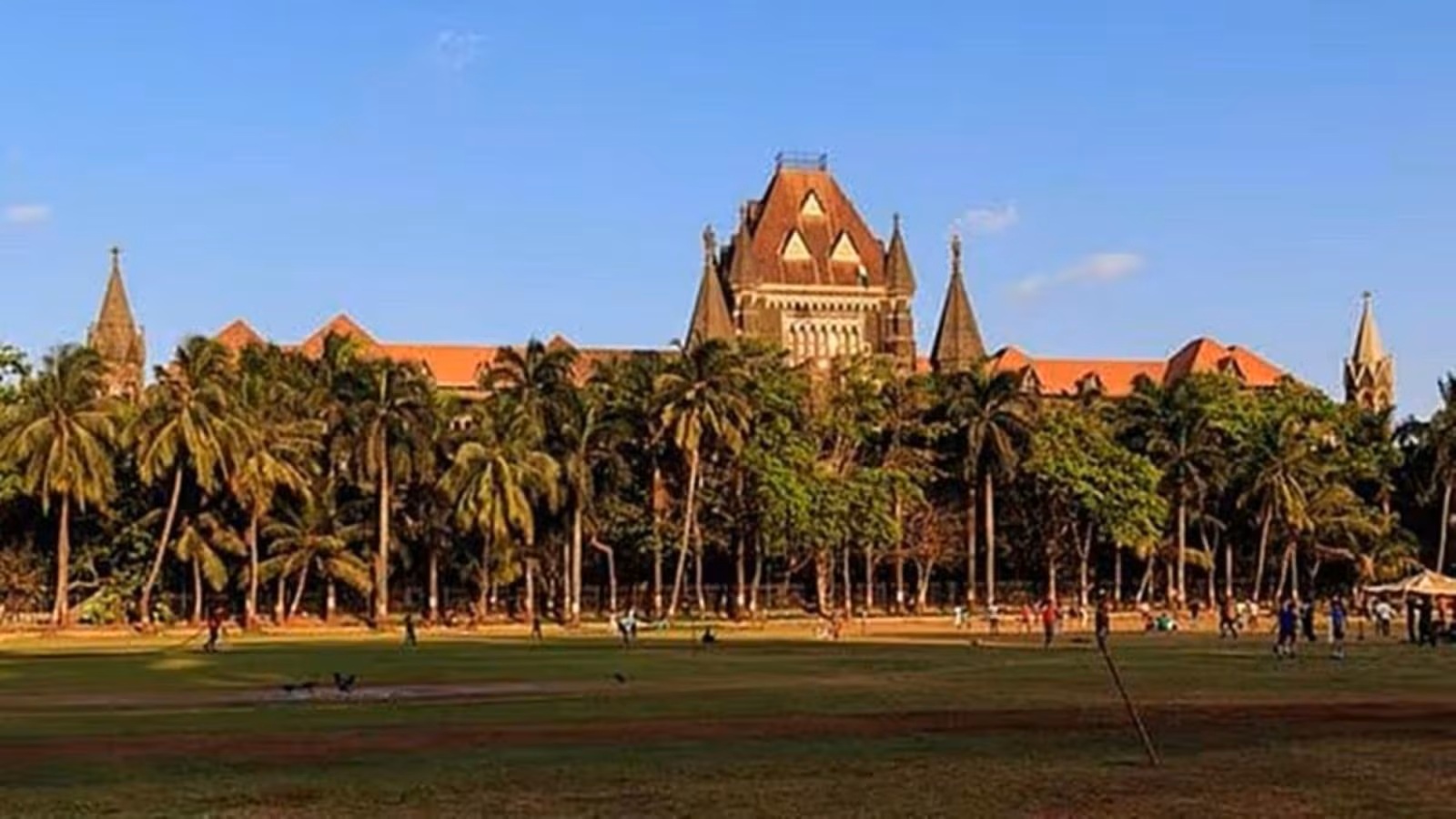 ‘Maharashtra centre of Maoist urban network’: State defends Special Public Security Act in court