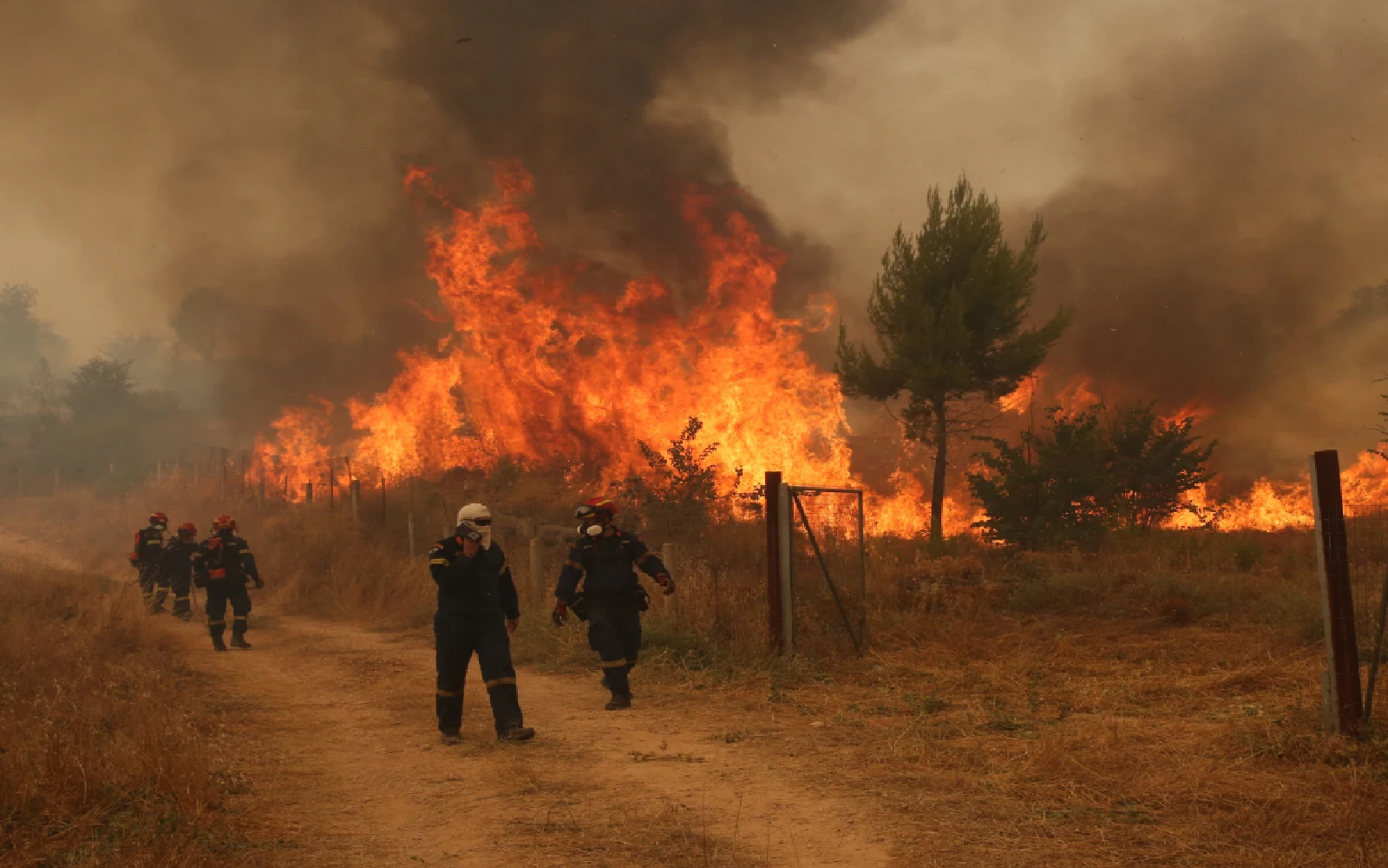 Firefighters battle second day of blaze on Greek island