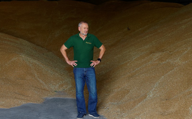 Ukraine's farmers despair as Russia's Black Sea blockade traps their harvest
