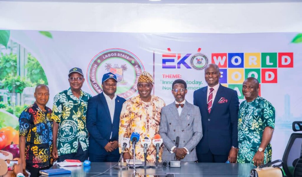 Lagos: Food innovation no longer optional to feed megacity