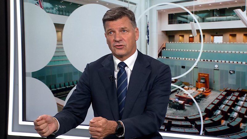 Angus Taylor talks migration cuts on Today