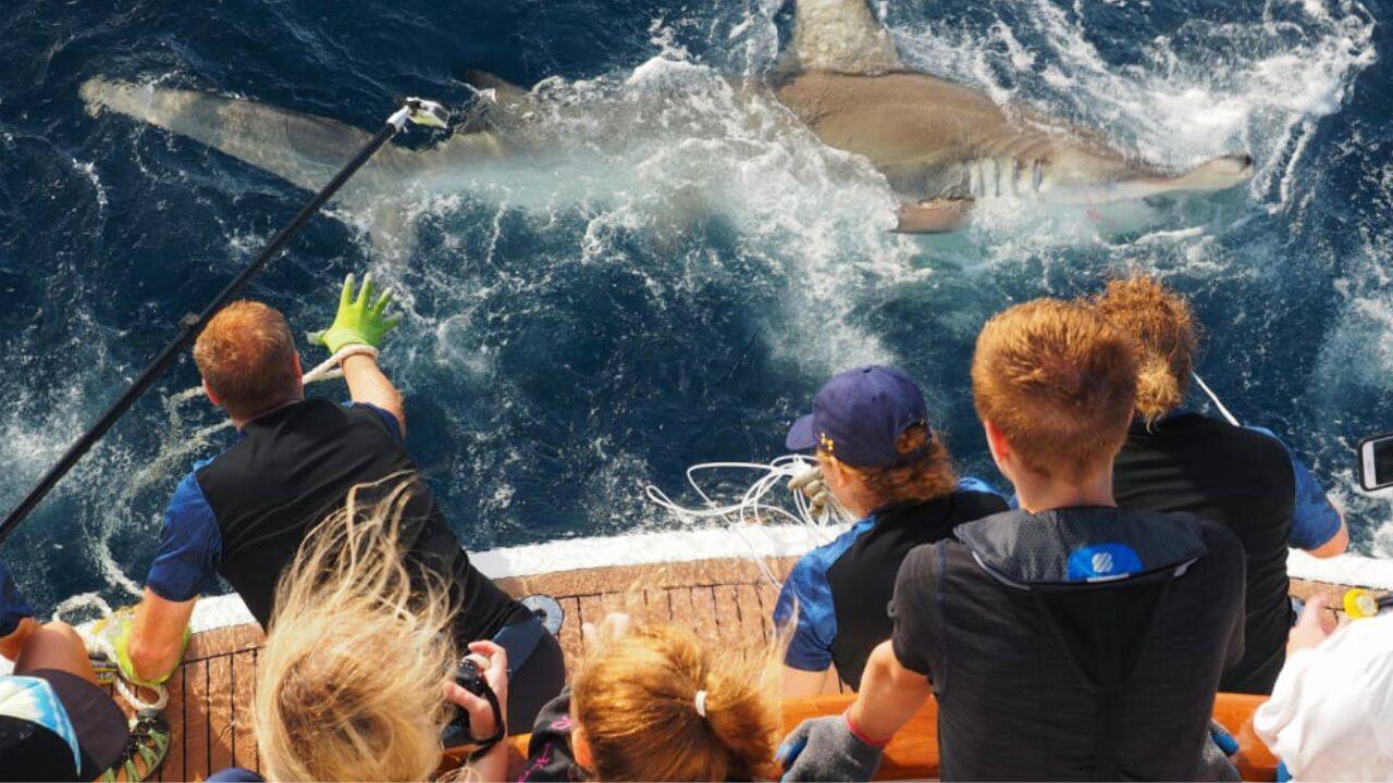 Two sisters turned their childhood love of the ocean into a 65-foot research yacht