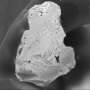 Chernobyl particles reveal unexpectedly stable nuclear fuel after 40 years