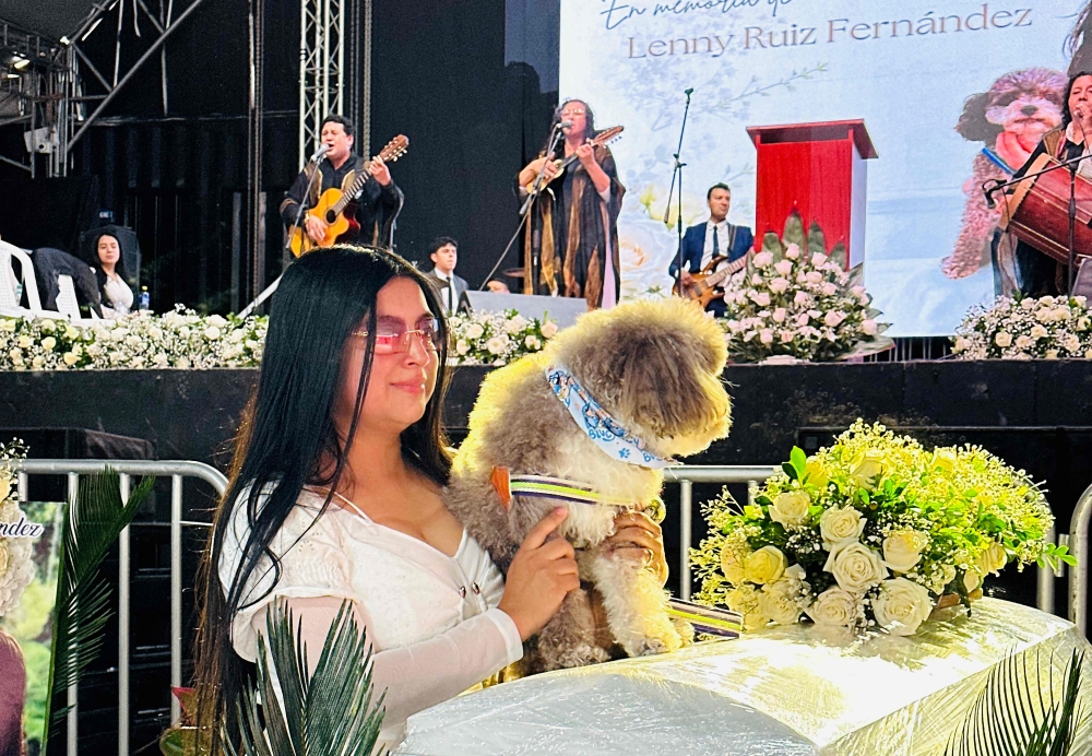 Colombian woman dies shielding dog in devastating earthquake