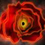 Black hole star: Astronomers discover a brand-new type of astrophysical object