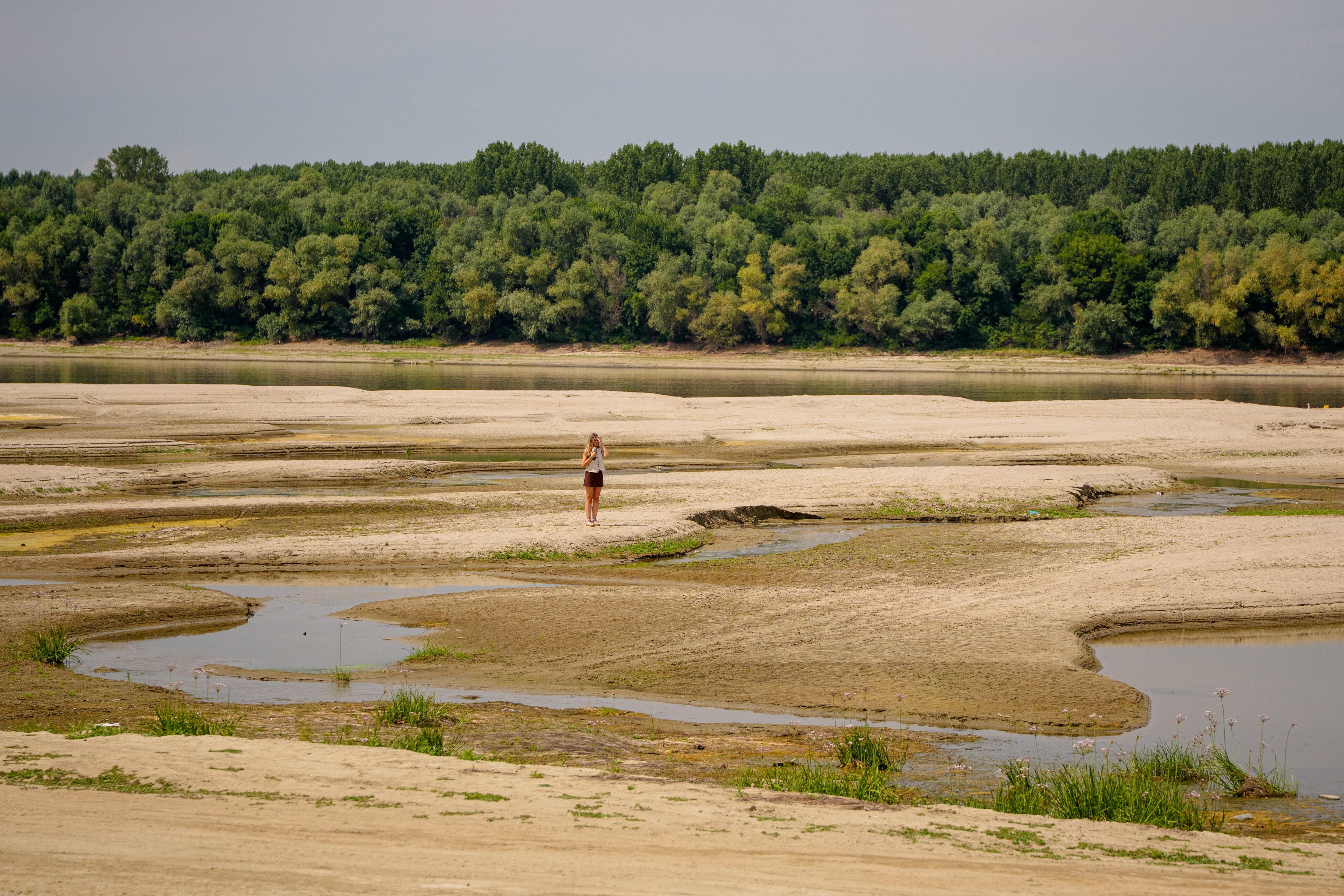 Stopped reactors, empty ports: the great European drought wreaks havoc on the continent's major rivers