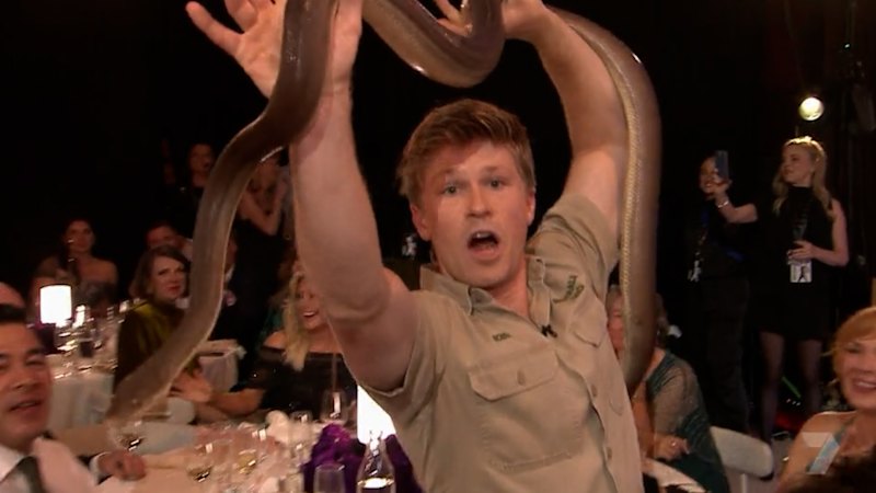 Robert Irwin brings out reptiles during the Logie Awards