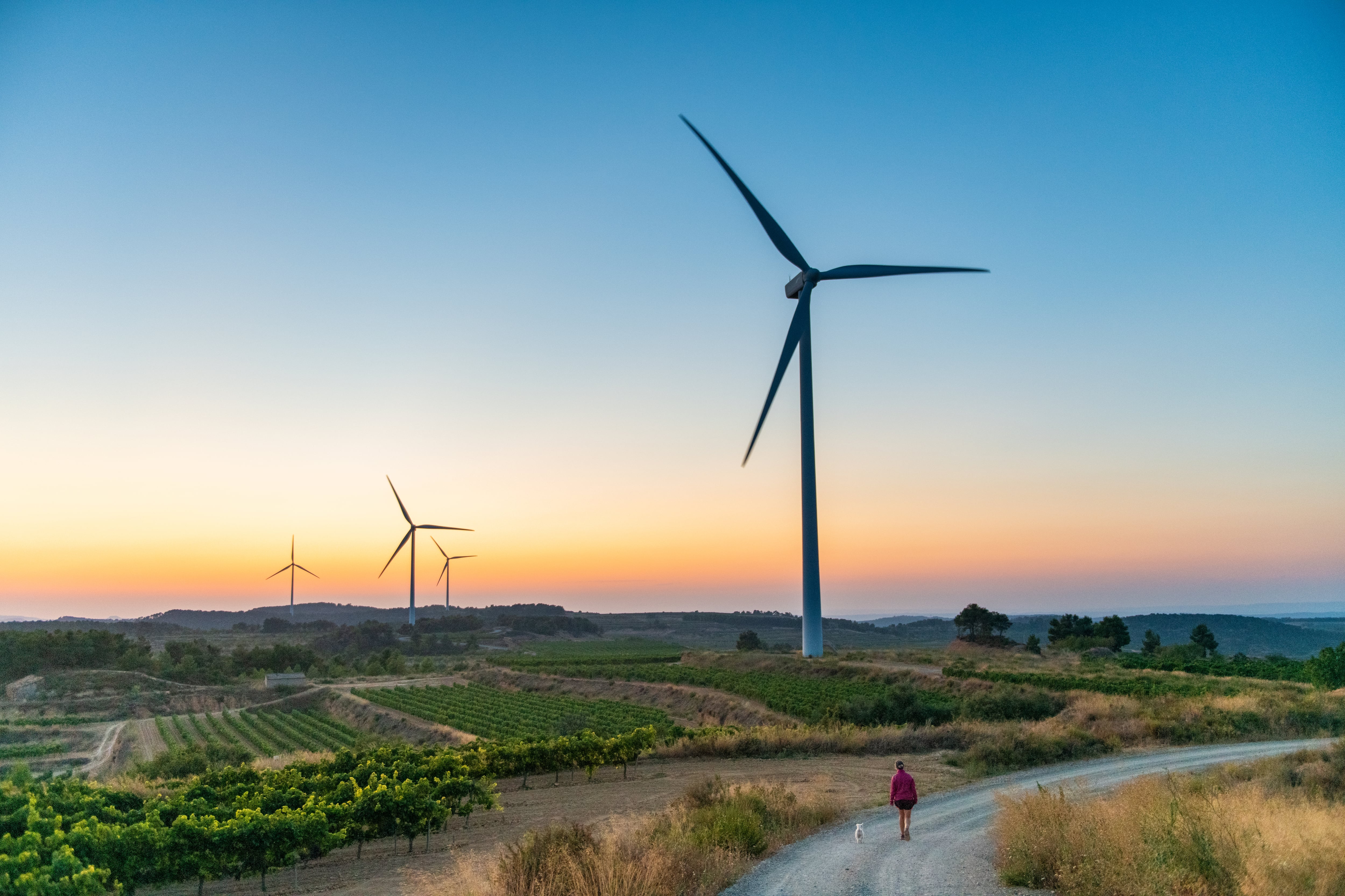 Brussels investigates the legality of Spain's payment of €23.5 million to Japan's JGC over a renewable energy award