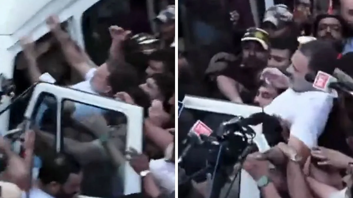 Rahul Gandhi Detained, Carried Into Police Bus During INDIA Bloc Protest Near Jantar Mantar | Video