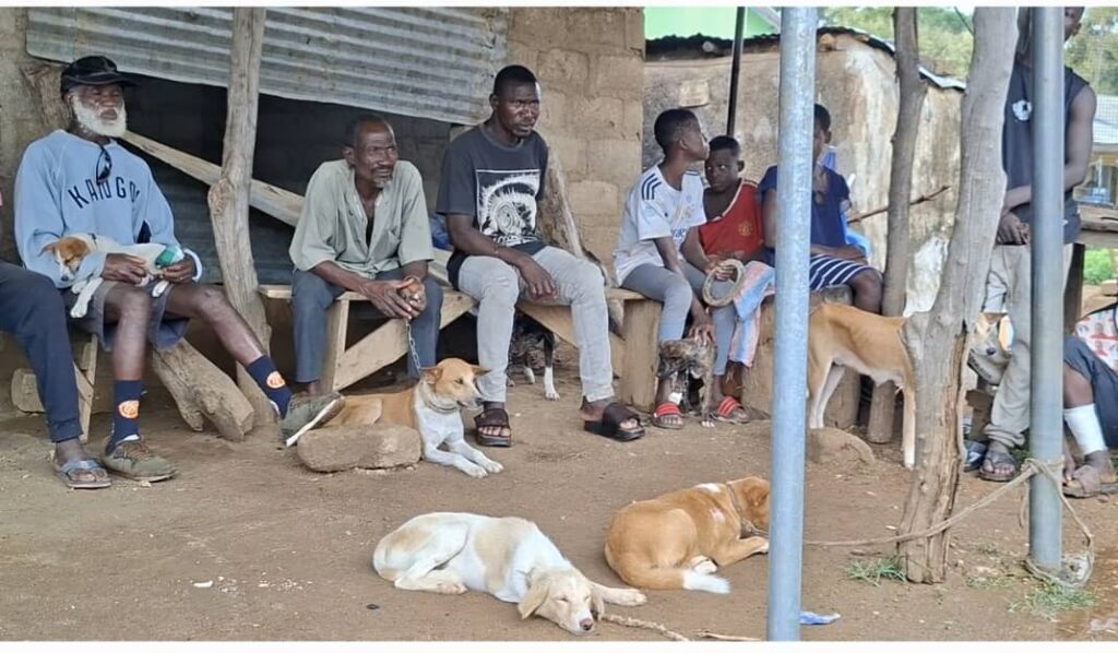 Nabdam District Assembly sponsors free rabies vaccination for pets