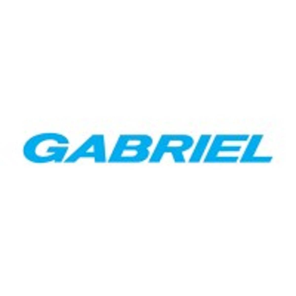 Gabriel India forms joint venture with Forvia for advanced seating systems