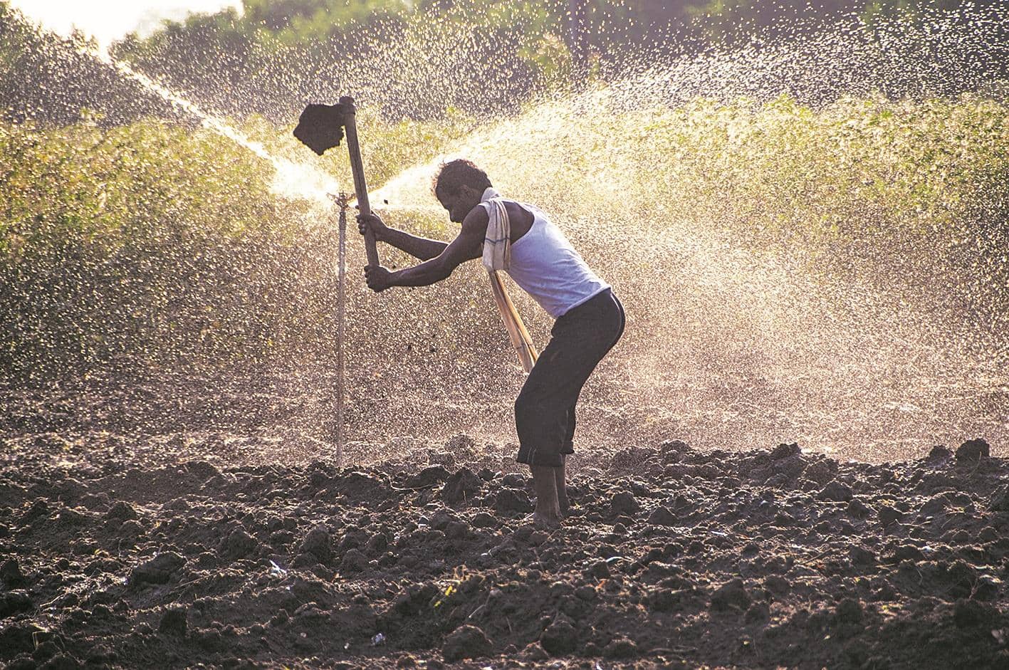 India's rural economy decoupling from monsoon shocks, says RBI report