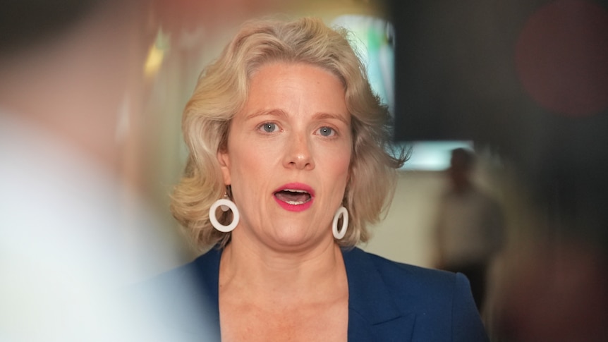 Live: Labor has 'real concerns' about ATO's credit card payments decision