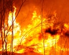 ‘Catastrophic wildfire loop’ created after colonisation left parts of Australia more at risk from bushfires, study finds