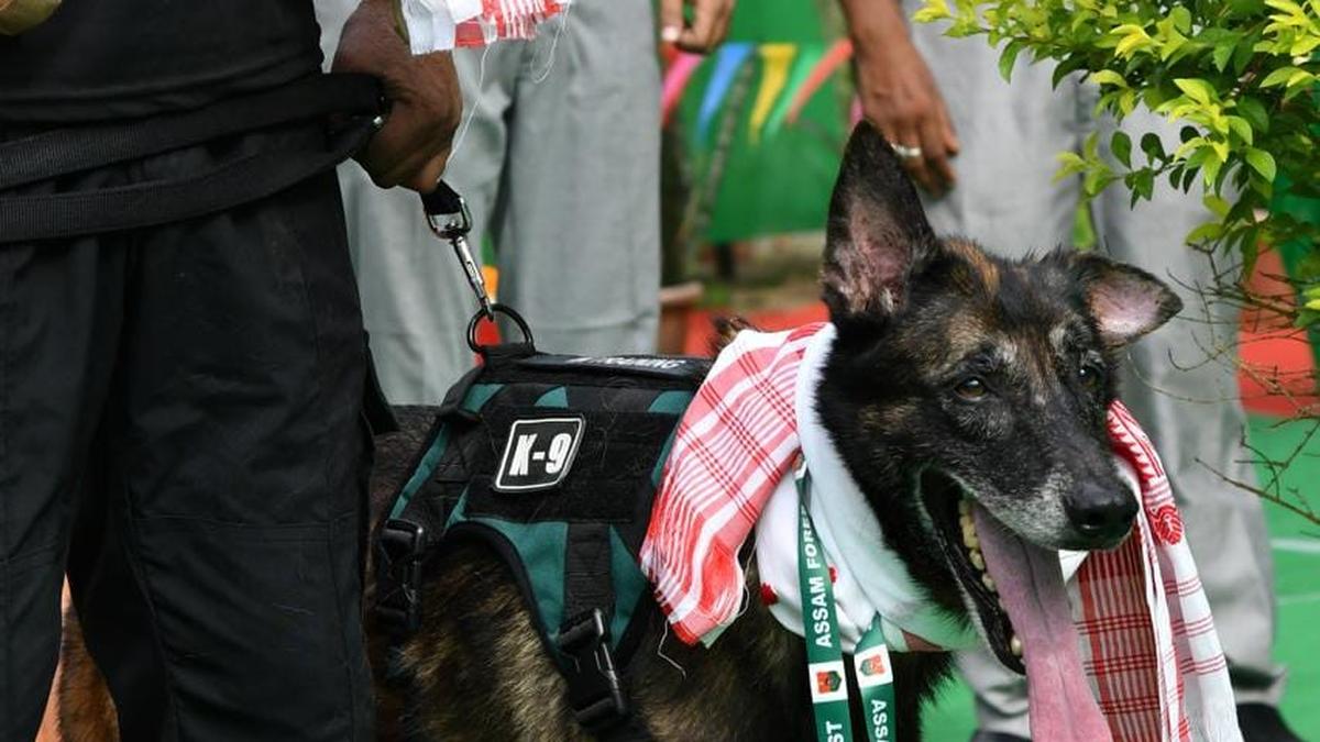 One of Assam’s sharpest wildlife guard dogs retires