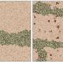 Active particles could make stable glasses stronger without catastrophic brittle failure