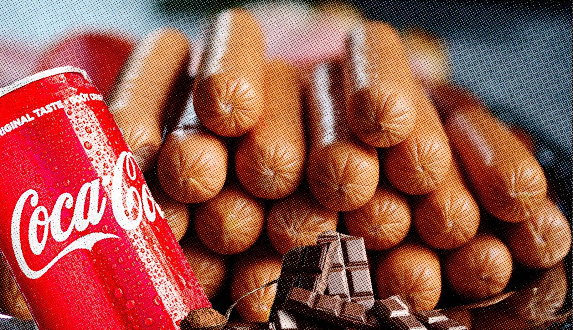 CORPORATE RESISTANCE: How big food sues governments to keep unhealthy products on shelves