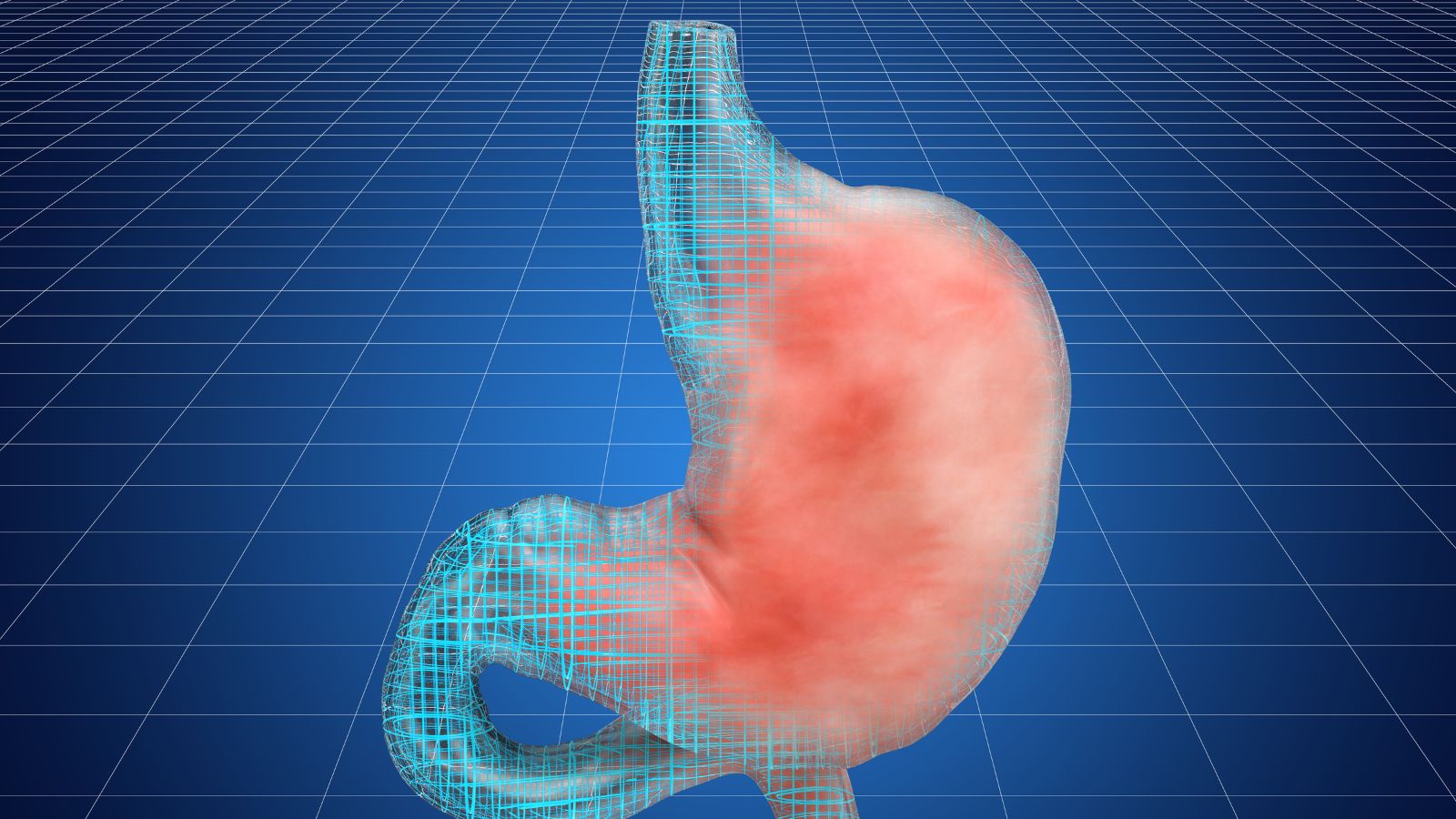 This gut bug may help lower LDL cholesterol like statins: Scientists find how