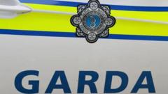 'Number of fatalities' and four injured after car drives on wrong side of motorway