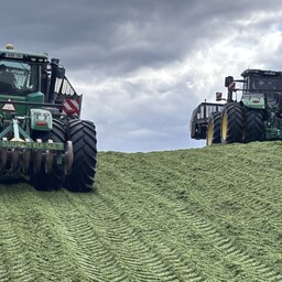 Younger Estonian farmers more willing to take risks
