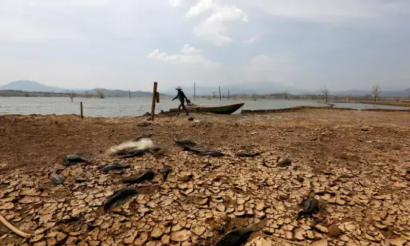El Nino will intensify, then peak in December: UN
