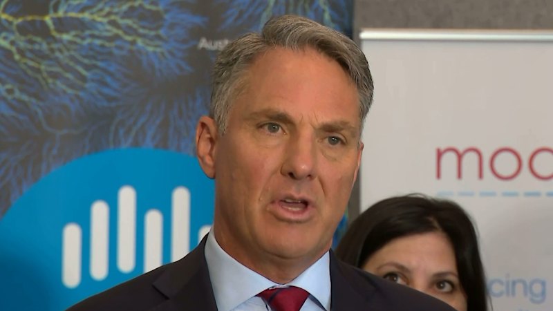 Push to ban deepfakes following One Nation campaign ad