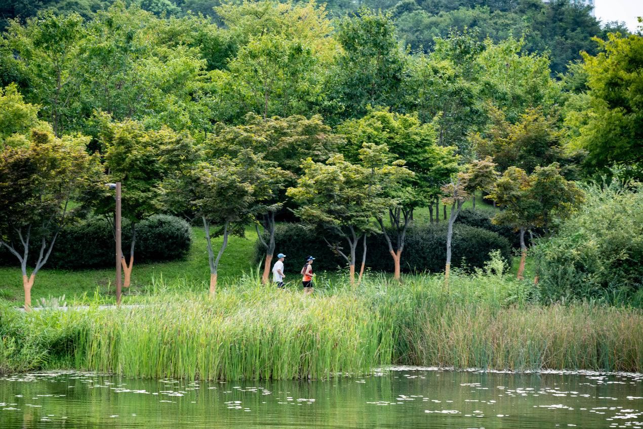 Foreign envoys discover Sejong's appeal beyond Korea's administrative capital