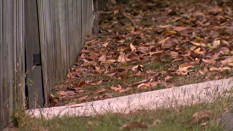 Woman charged with attempted murder of two boys in Brisbane
