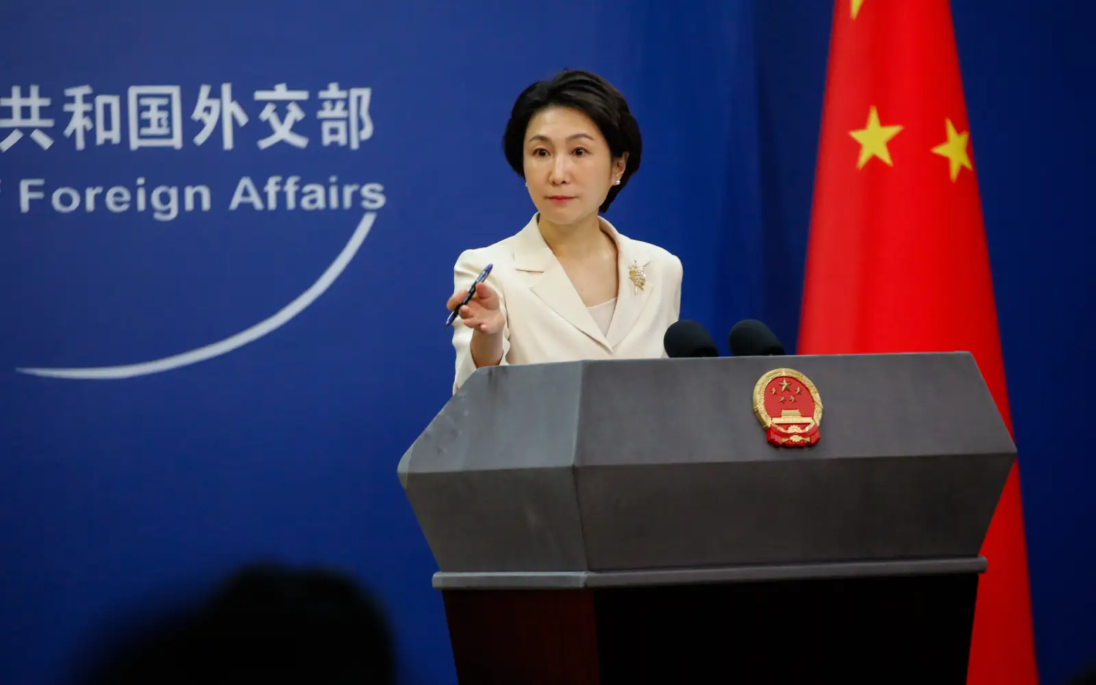China names candidate for WHO chief position