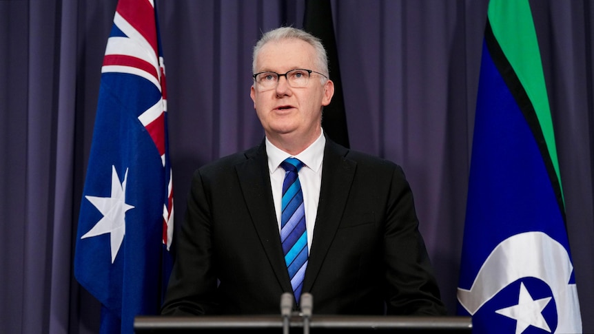 Tony Burke delays speech expected to reveal sweeping migration cuts