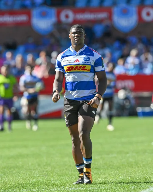 John Dobson backs Warrick Gelant despite Stormers’ big Sharks derby selection call
