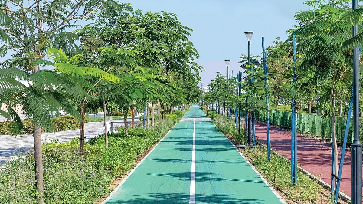 Abu Dhabi plants more than 14 million seasonal flowers, develops new parks