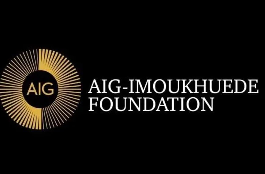 Aig-Imoukhuede Foundation names 74 African public leaders for leadership reforms programme