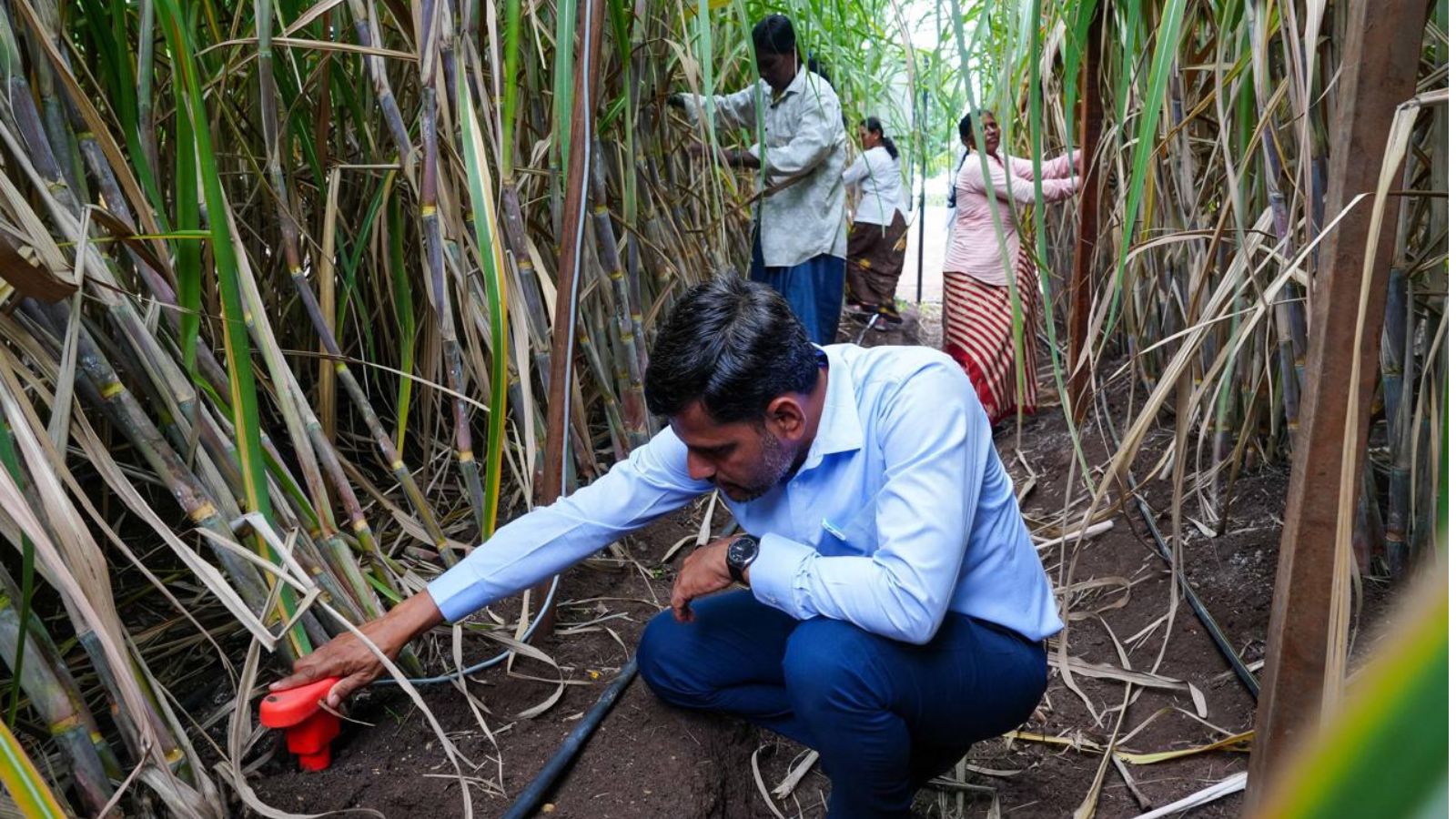 How a small Maharashtra town taught the world a lesson in smart farming