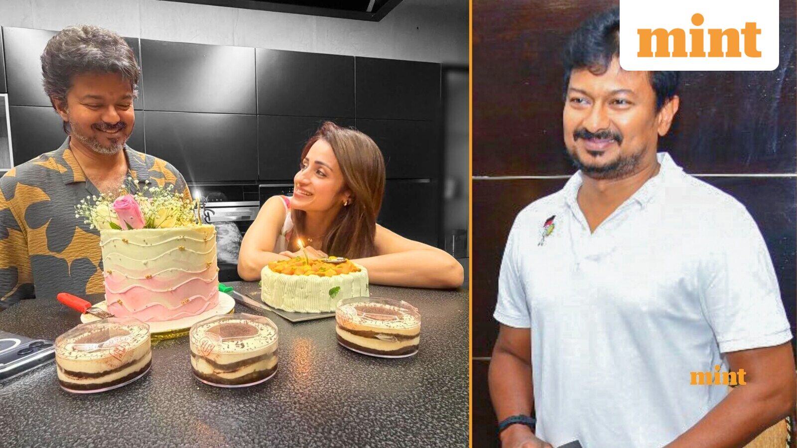 Viral video: Udhayanidhi Stalin ‘hides in toilet’; police keep waiting to detain him over remarks on Trisha Krishnan