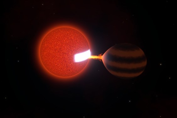 A Distant Star is Slowly Snacking on a Brown Dwarf