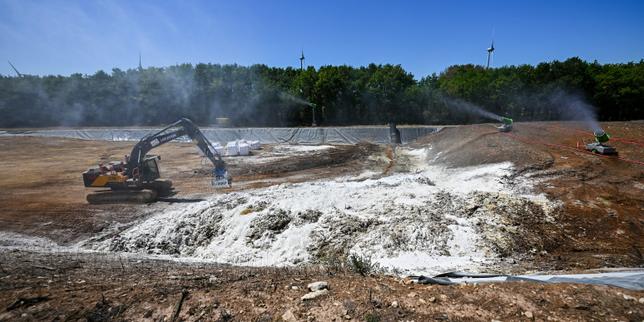 Avec la canicule, les équarrisseurs croulent sous les cadavres de volailles en décomposition dont l’odeur exaspère riverains et pouvoirs publics