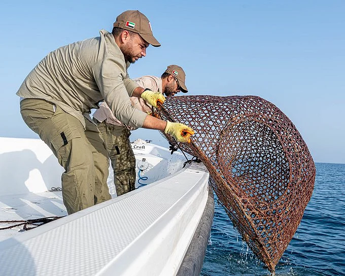 Fujairah seizes 21 illegal fishing traps near marine reserves