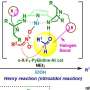 Nickel catalyst unlocks hard-to-make β-amino alcohols