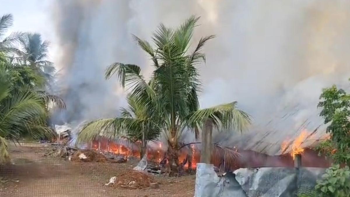 Over 5,000 chickens killed in a poultry farm fire near Cheyyar